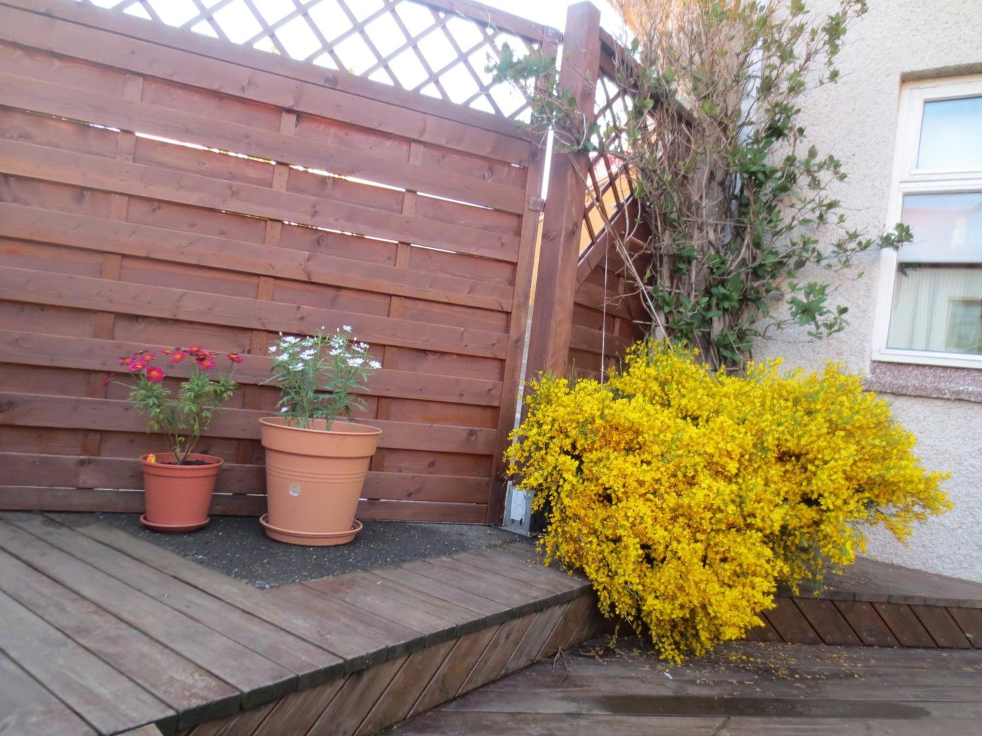 Teigur Guesthouse Akranes Luaran gambar