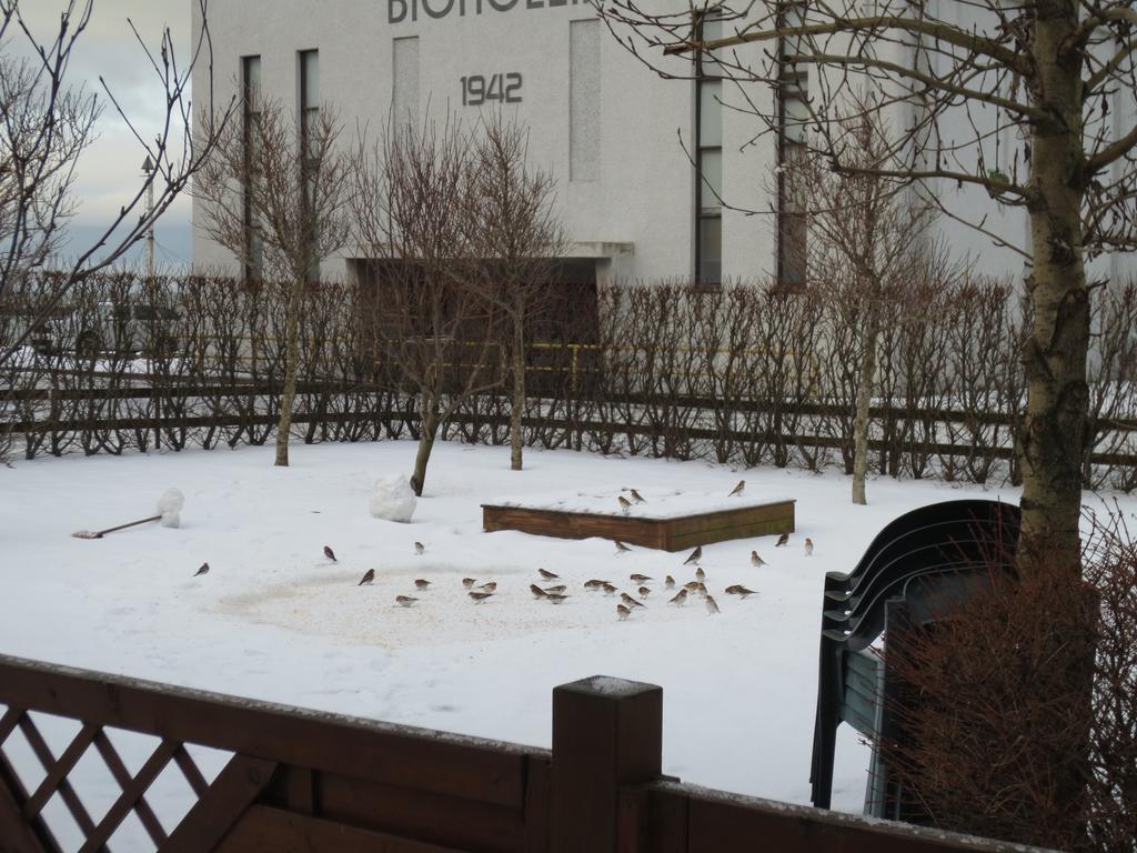 Teigur Guesthouse Akranes Luaran gambar